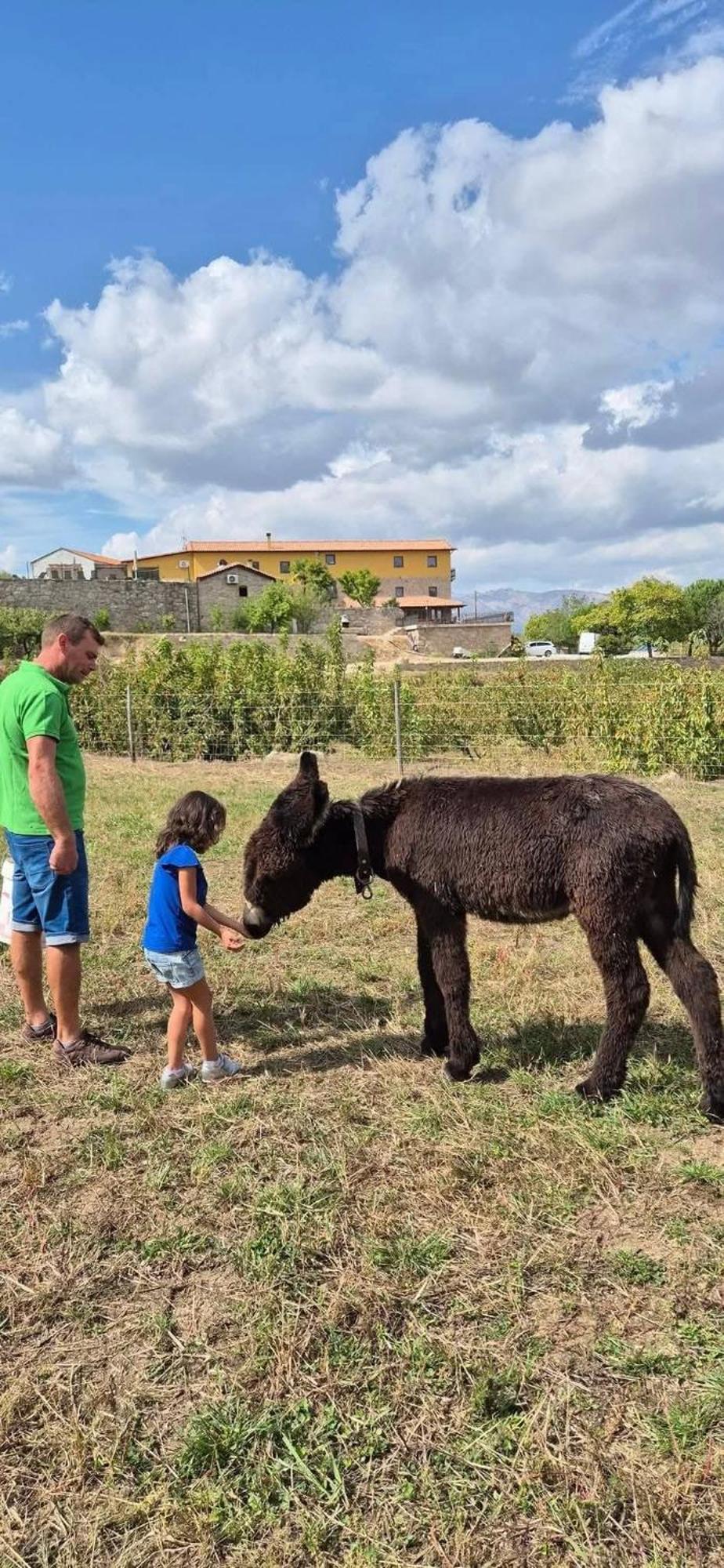 Quinta Do Limite - Casa Do Campones Villa Covilhã Екстериор снимка